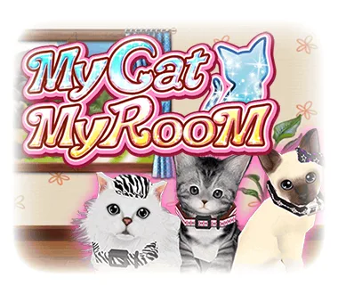 My Cat My Room